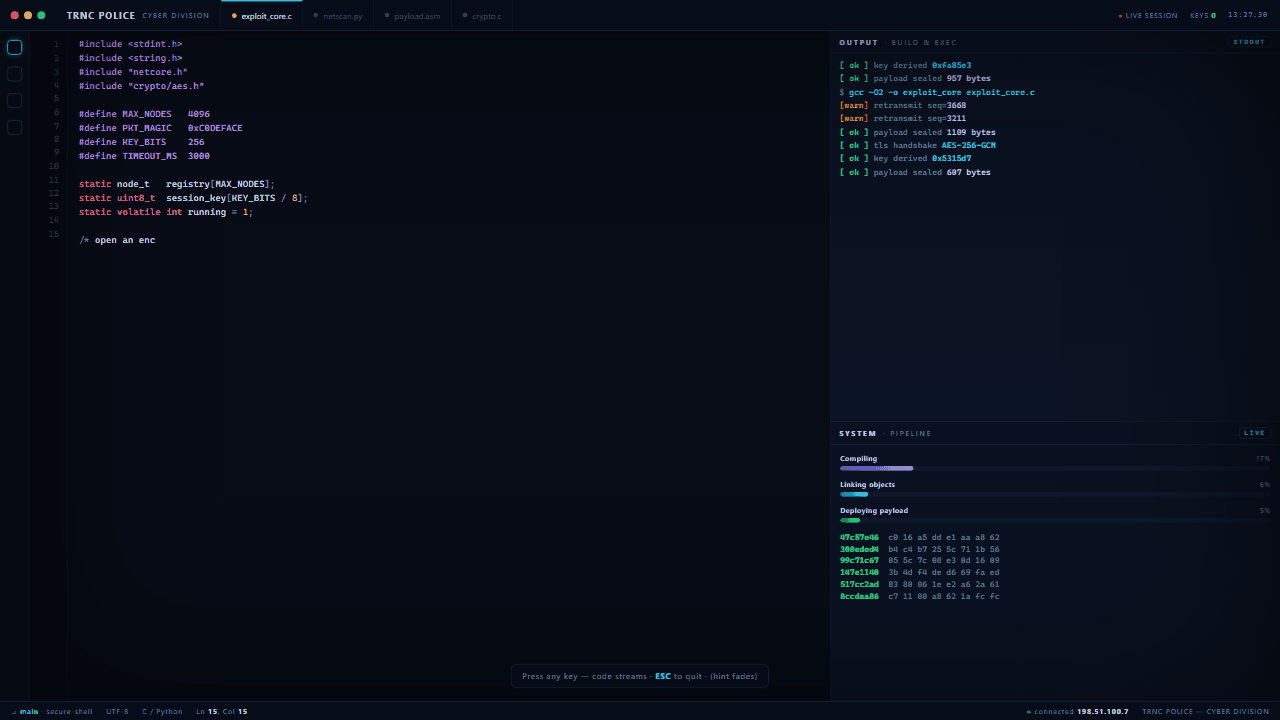 Screenshot der Website des Projekts Live Coding Terminal — interaktiver Einspieler