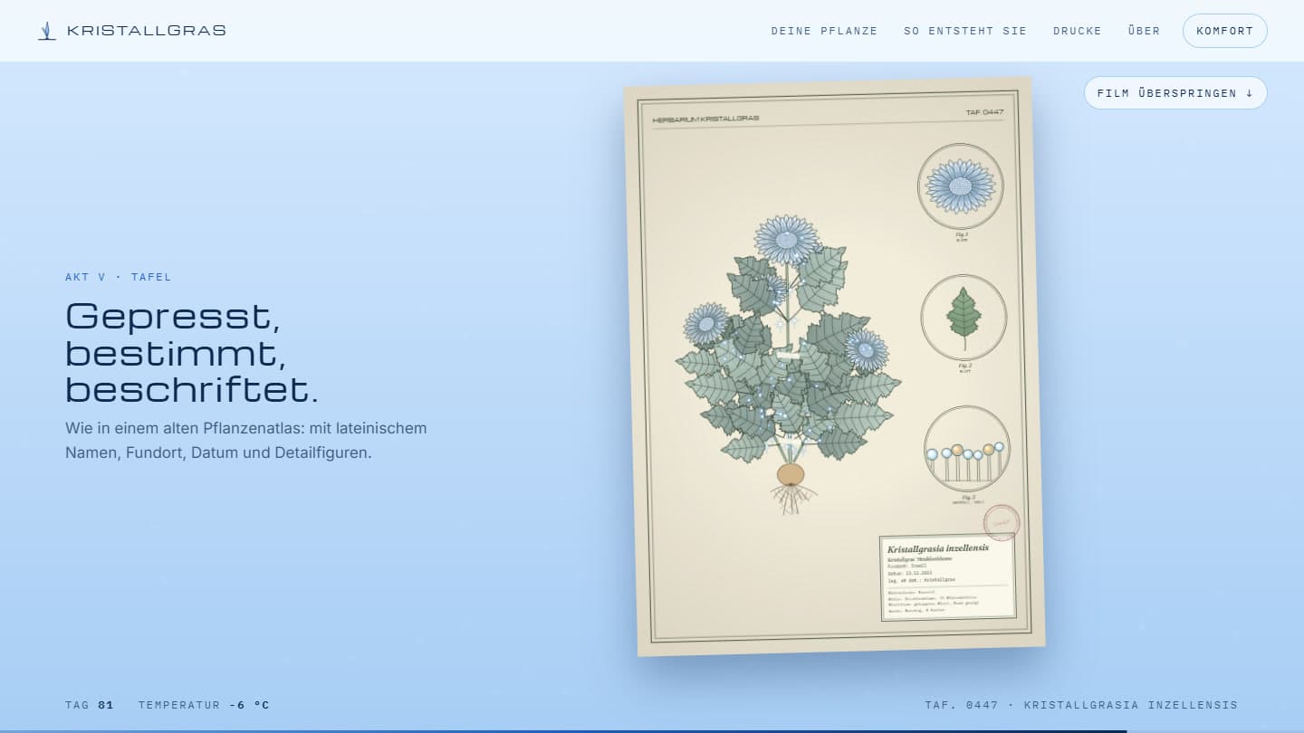 Akt V des Scroll-Films: die fertige botanische Tafel Kristallgrasia inzellensis mit Detailfiguren von Blüte, Blatt und Frucht und beschriftetem Etikett
